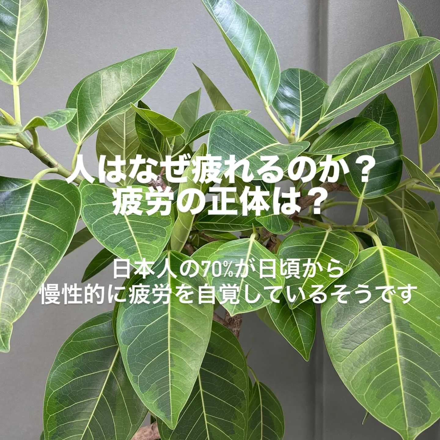 なんだかイライラする…😣
