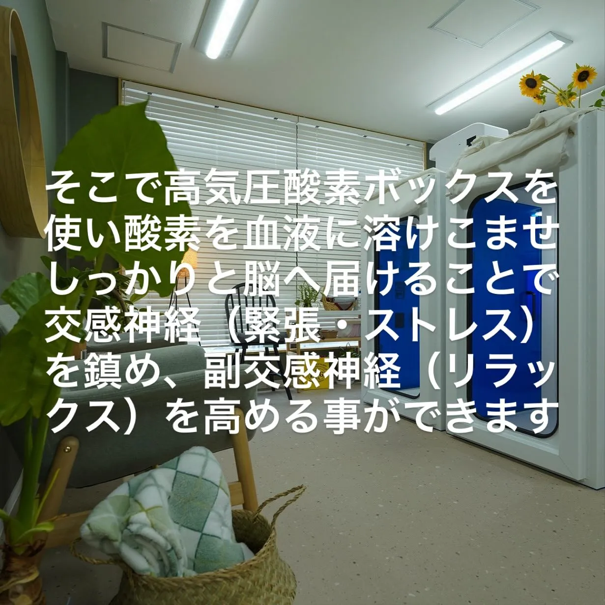 なんだかイライラする…😣