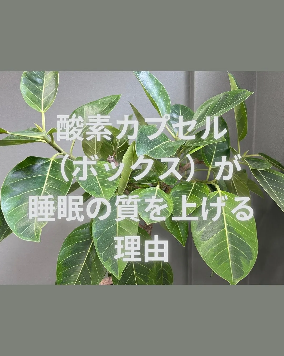 「最近ぐっすり眠れていますか？🌙