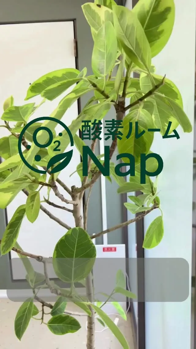 心がふっと緩む場所。