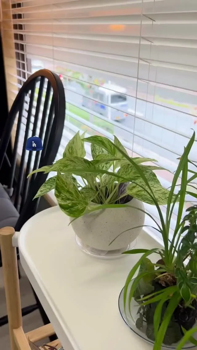 「酸素カプセルって、結局なに？」