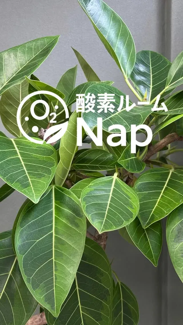 受験シーズンが近づくと