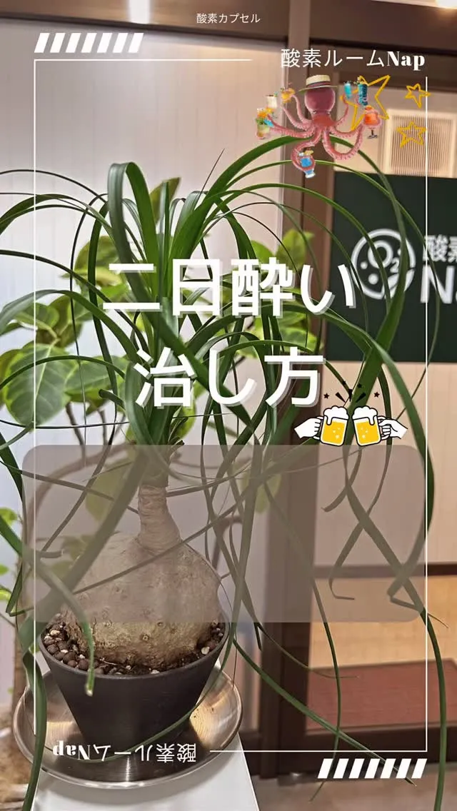 忘年会シーズン到来🍻