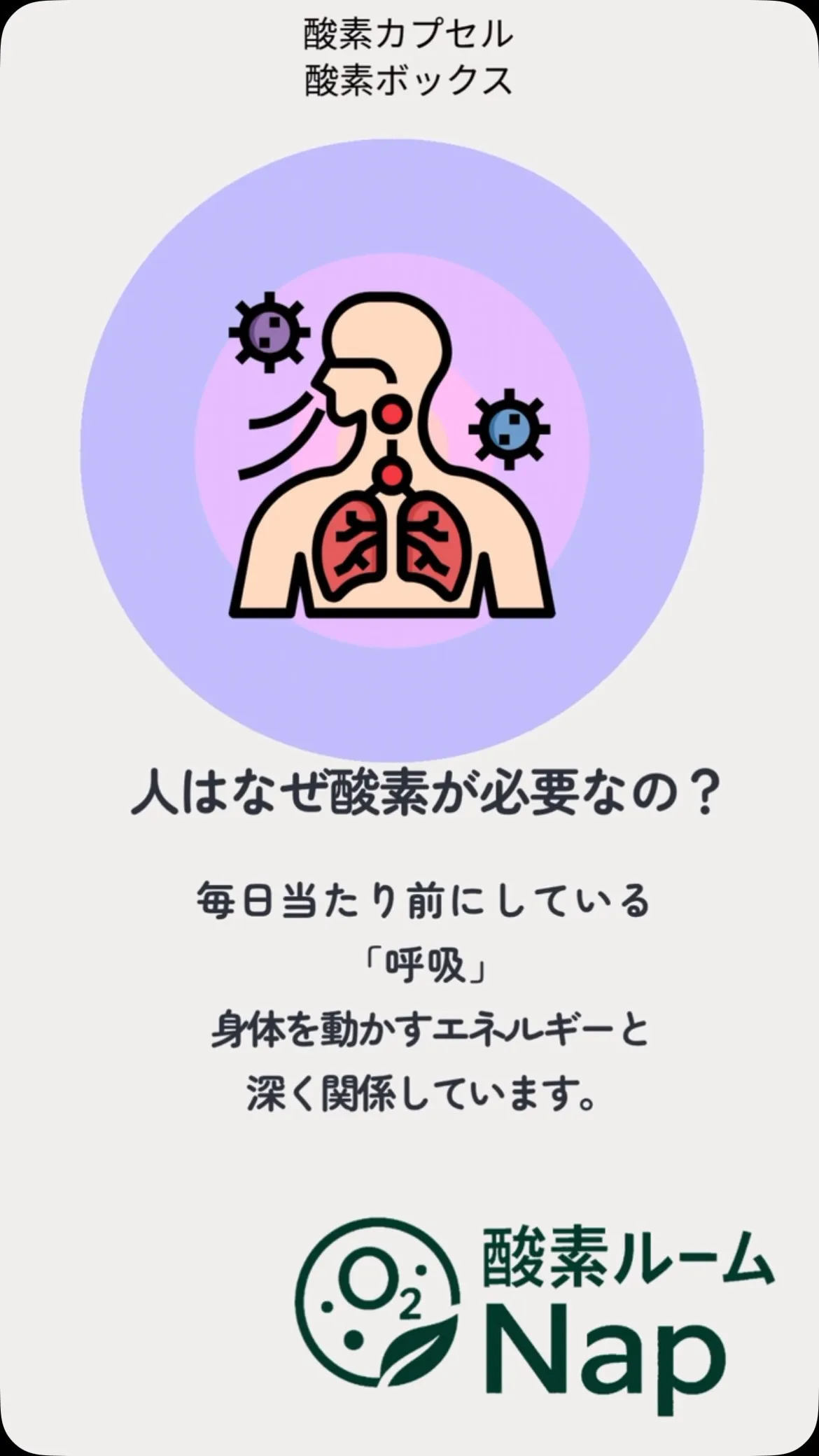 【人はなぜ酸素が必要なの？🫁】