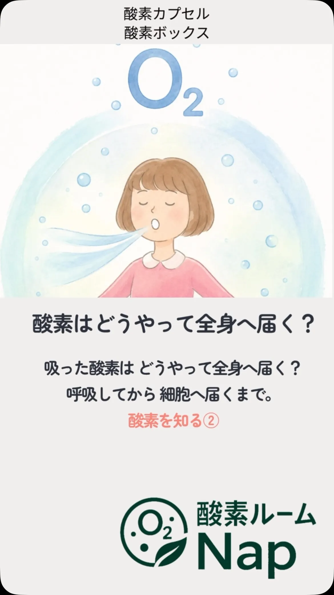 【吸った酸素は、どうやって全身へ届く？🫁🩸】